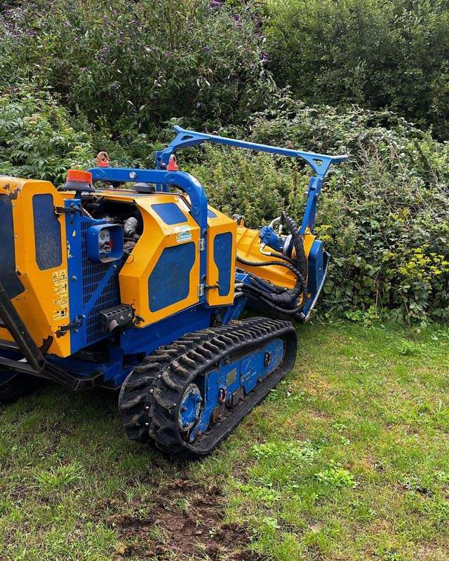 Élagage et abattage près d'Arras