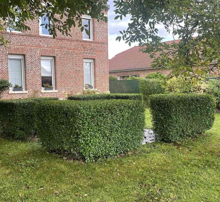 Aménagement paysager près d'Arras